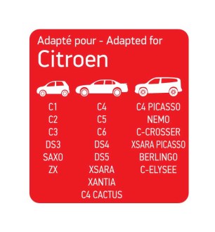 1CITROEN_cart