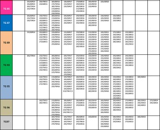 miltigrip-catalogue-2024_B